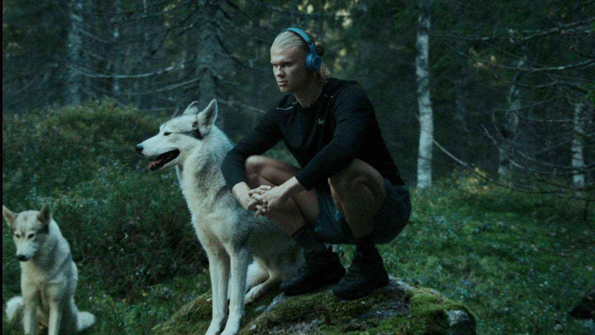 郭艾倫的成 郭艾倫的成