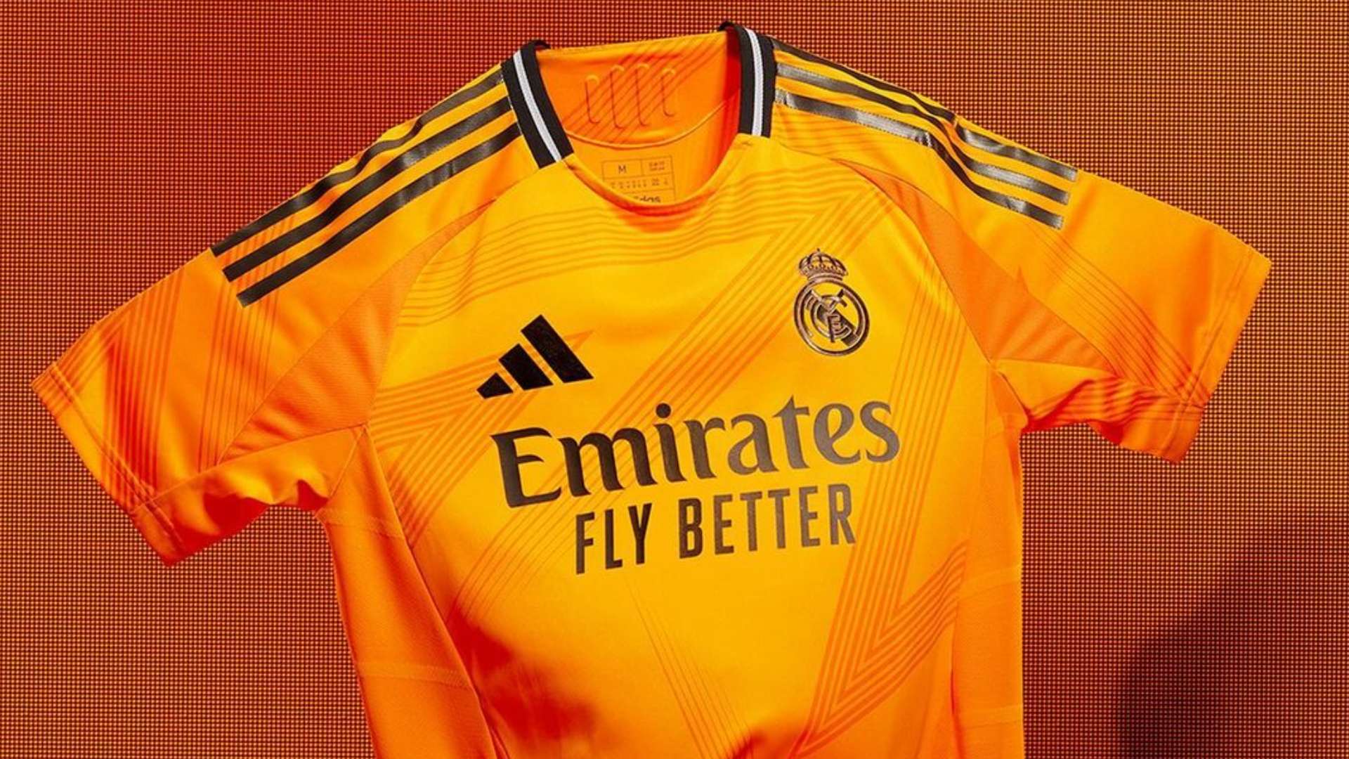 国际的球迷 国际的球迷